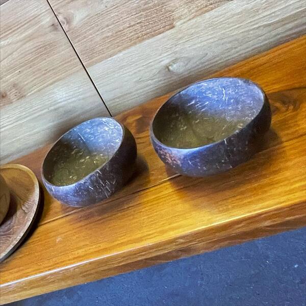 Coconut Shell Bowls