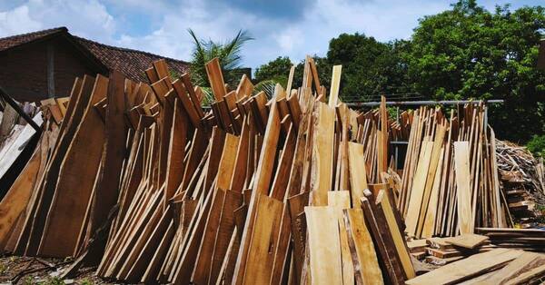 Raw Hardwood Timber Planks