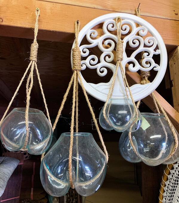 Hanging Glass Terrariums