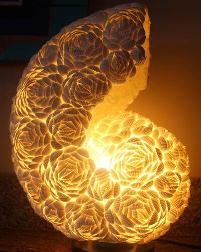 Shell nautilus lamp with warm glow
