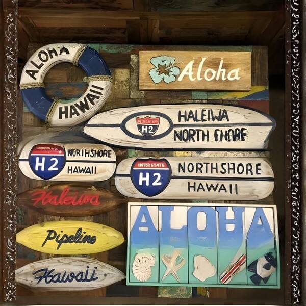 Hawaii Signs Collection