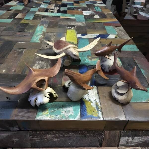 Marine Life Collection