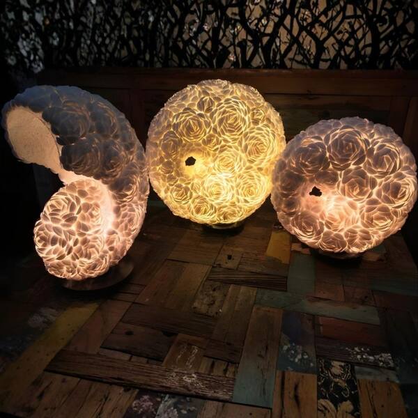 Shell Moon Lamps